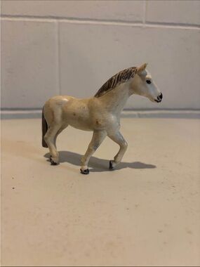 FunRise Vintage 1988 Lipizzaner Mare
